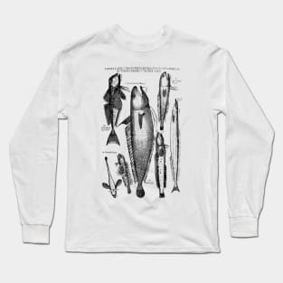 historical fishes design Long Sleeve T-Shirt